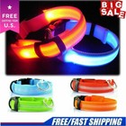 Rechargeable Led Pet Glow Collar Night Safety Adjustable Flash Light-up For Dog