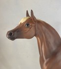 Breyer Cm Proud Arabian Stallion