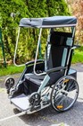 Pedicruiser - Adult Bike Trailer   Adult Stroller Wheelchair