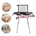 Professional Cosmetic Travel Case Vanity Organizer Rolling Makeup Train Case