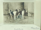 Reuben Ward Binks Pencil Signed Etching Of 2 Wire Fox Terrier Dogs  1924 Champs