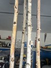 Four 8  White Birch Poles 1 5  - 2  In Diameter 