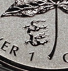 2012  5 Silver Maple Leaf Dragon Privy 1 Oz  Pure 9999 Silver Coin In Capsule