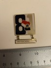 Wisconsin Lions Club 81 Lapel Pin P45