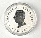 2024 Australia 1 Oz Silver 10th Anniversary Australian Wedge-tailed Eagle  1