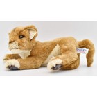 Hansa Lion Cub Plush Stuffed Animal 30cm Realistic Baby Lion Japan Bh4994