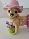 Aye Chihuahua  Bikini Pink Westland Beach Sand Bucket