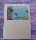 1941 Flicker Bird Miniature Booklet By John H Eggers Cracker Jack Prize