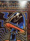Amazing Allman Brothers Signed Concert Poster Butch Trucks Beacon Theater Jsa