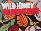Vintage Capital Records The Beach Boys Wild Honey Vinyl Album Pre-owned