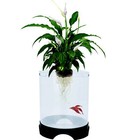 Penn-plax 1 4 Gal Aqua-ponic Betta Fish Tank With Hydroponic Planter