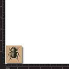 New Rubber Stamp Fun Beetle Bug Animal Garden Insect Legs Object Wildlife Nature