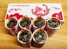 Lunar Series New Year Dragon Coin 2024 China 10 Yuan   Brand New  1 Piece                