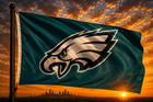 Philadelphia Eagles  Nfl 3x5 Foot Flag banner Football Free Ship Usa Seller