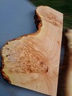 Xxl Hardwood Birdseye Maple Burl Wood Slab  Turning Wood  Epoxy stabilizing Wood