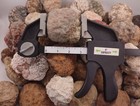Quantity Of 6 Large Unopened Geodes Agates Nodules 6-8 Lb Mixed Bulk Lot Variety