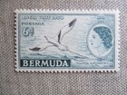Bermuda  Scott  163  Mnh
