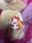 Annabelle The Cat Beanie Boo Rare With Tag 2016