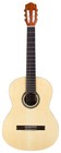 Cordoba C1m Classical Acoustic Nylon String Guitar  Prot  g   Series