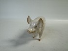 Pig Champion Boy 53 Figurine Ch Wall Glossy Model 1453a Beswick England - Read