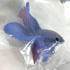 Betta Siamese Fighting Fish 2 Figure Set Of 6 Stasto Japan 2024