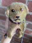 Antique Steiff Type Mohair Dog On Metal Wheels Pull Toy Glass Eyes Must See 