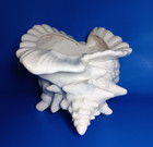 Vintage Ceramic Conch Planter Bowl Vase Large Atlantic Mold Made In Usa
