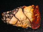 Brecciated Mookaite Jasper- 5 1 8   X3 3 8   Rough  Cabbing - Display   Science