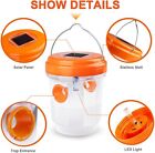Solar Powered Outdoor Wasp Trap Catcher Uv Light Traps Wasps Hornets Bees