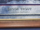 Vintage 1992 Heileman s Old Style Beer Brook Trout Fish Bar Mirror Sign Nice 