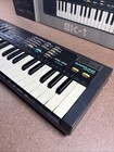 Casio Sk-1 32 Key Lo-fi Sampling Electronic Keyboard Synthesizer Tested working