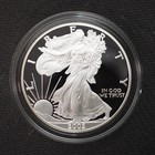 2002-  w   1 American Silver Proof Eagle W ogp   Coa - Free Shipping 