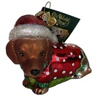 Old World Christmas Glass Ornament Dashing Dachshund Puppy New W  Owc Gift Box