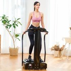 Zelus 2000w Whole Body Vibration Machine Full Body Exercise Platform Massager
