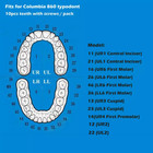 Columbia Dentoform 860 Dental Typodont Teeth Replacement Individual Teeth Model