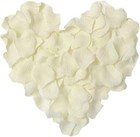 1000 Pieces Ivory White Artificial Silk Rose Petals Flower Decoration Wedding   