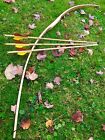 55 60lb You-finish 71  Hickory Longbow   Arrow Combo - Ringing Rocks Archery