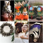 24pcs Natural Feathers Bulk - 6 Styles Assorted Peacock pheasant turkey Feathers