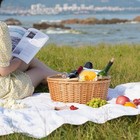 Wicker Picnic Basket With Double Folding Handles  Natural Large Willow Hamper Em