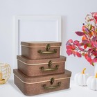Decorative Box Set Of 3 Decorative Storage Boxes With Lids  Vintage Suitcases   