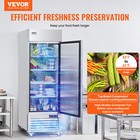 27  Commercial Refrigerator Reach In Upright Refrigerator Single Door  20 Cu ft