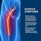 Powerful Herbs To Improve Your Life For  Sciatica Pain - 240 Caps - Made In Usa