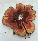 Red Cedar Rounds 17x1-1 3  Epoxy Project Crafting  Woodworking  Clock 12 mc