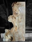 Xxl Mind Blowing  Birdseye  Maple Burl Wood  Pin Reveal Epoxy Wood  Turning Wood