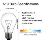 A19 Clear Incandescent Rough Service Light Bulb  100 Watt Incandescent Light