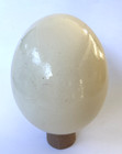 Blown Out Ostrich Egg Shell  15cm Tall Painting  Craft  Decor  Carving  Easter
