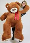 Giant Teddy Bear In Big Box Fully Stuffed   Ready To Hug - Huge 5-foot Soft New