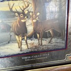 Vintage Old Style Beer White-tailed Deer  2nd In Series Mirror 1992   22 5x15