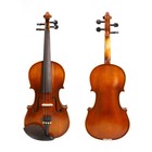 1 2 Size Acoustic Violin Handmade Spruce Maple New Nylon Covered Hard Shell Case