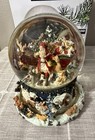 Kirkland Signature Musical Snow Globe Waterglobe Revolving Base Large 7  Mint